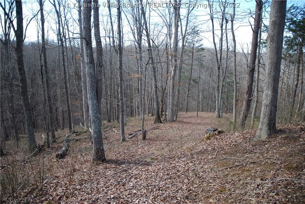 12584 Redmond Ridge Road Gallipolis Ferry, WV 25515 - Photo 10 of 30 Gallery Image 10