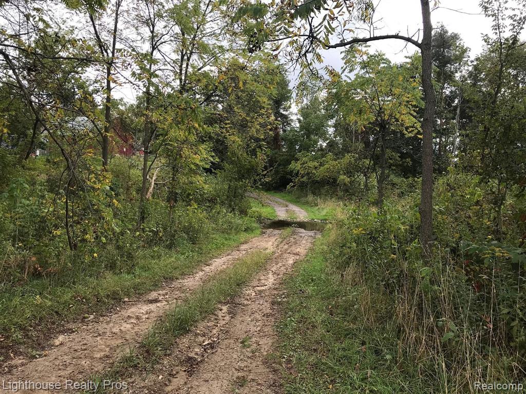 Par A Dwyer Road Howell, MI 48855 - Photo 5 of 12