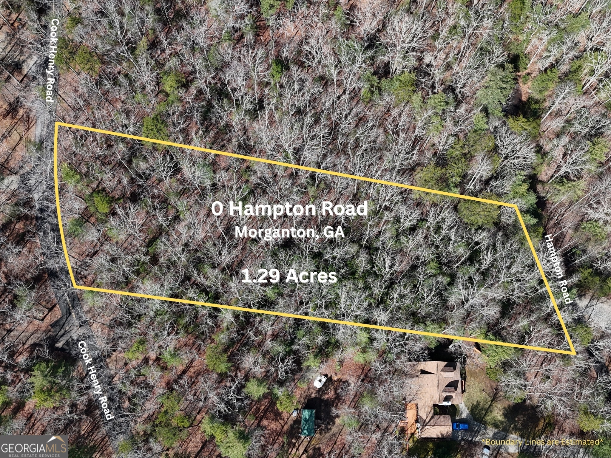 0 Hampton Road Morganton, GA 30560 - Photo 1 of 1 Gallery Image 1