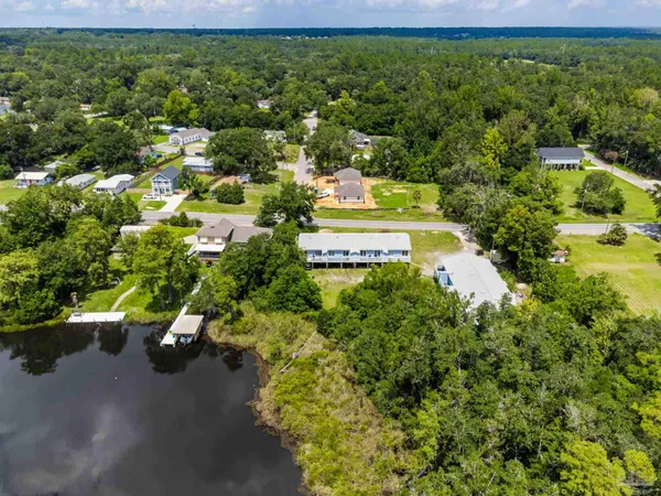 a view of a yard with plants and a garden