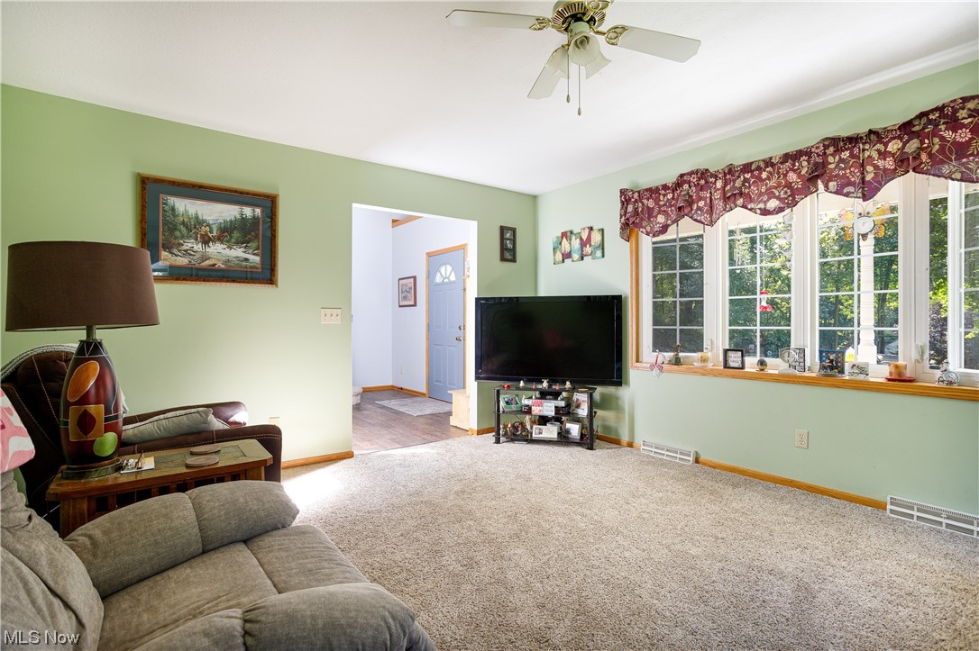 9929 Finley Road Wooster, OH 44691 - Photo 19 of 33 View of carpeted living room with lots of sunlight