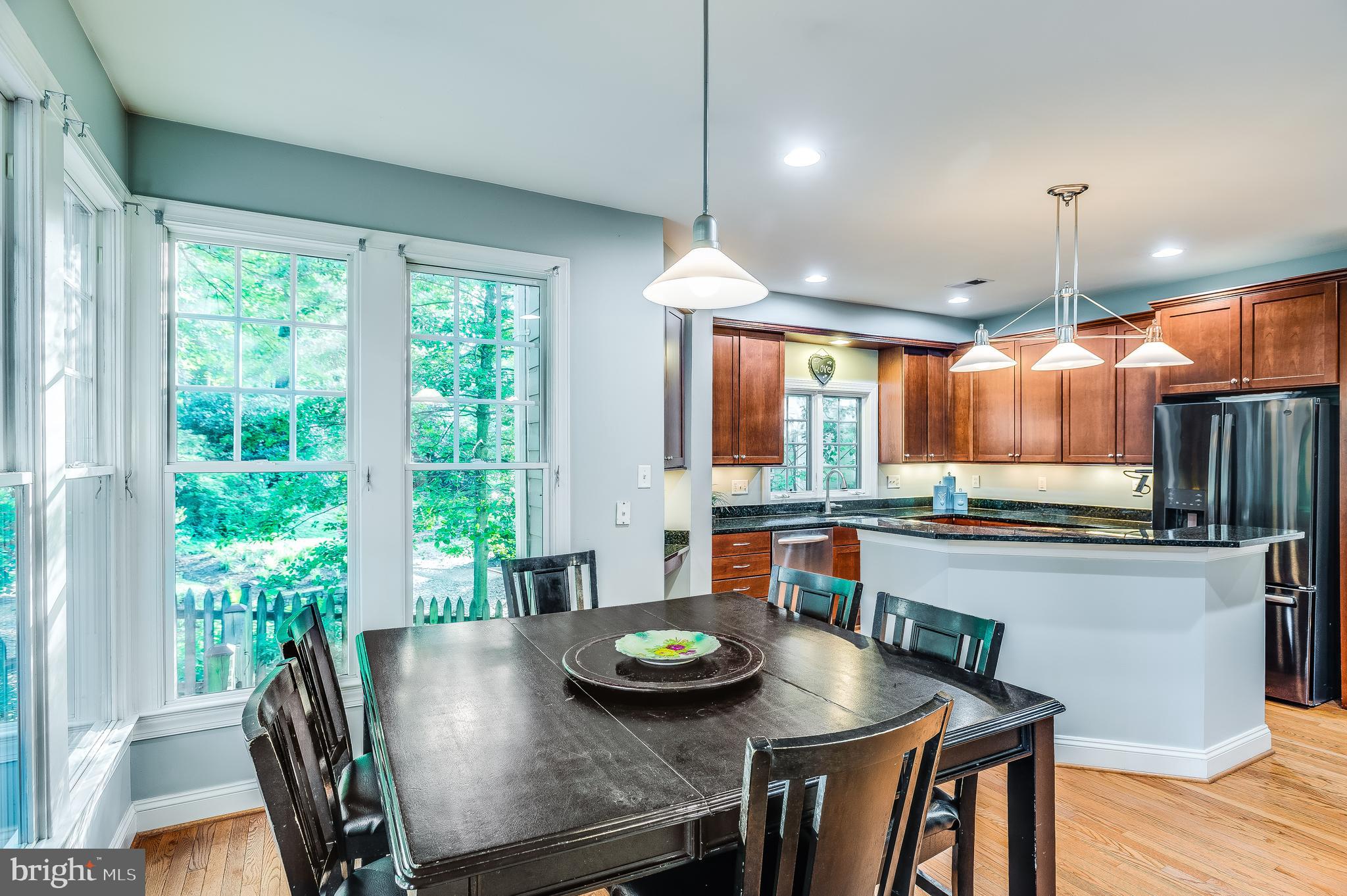1500 Grace Church Road Silver Spring, MD 20910 - Photo 13 of 44 Pendant lights, granite counter tops, wood floors!