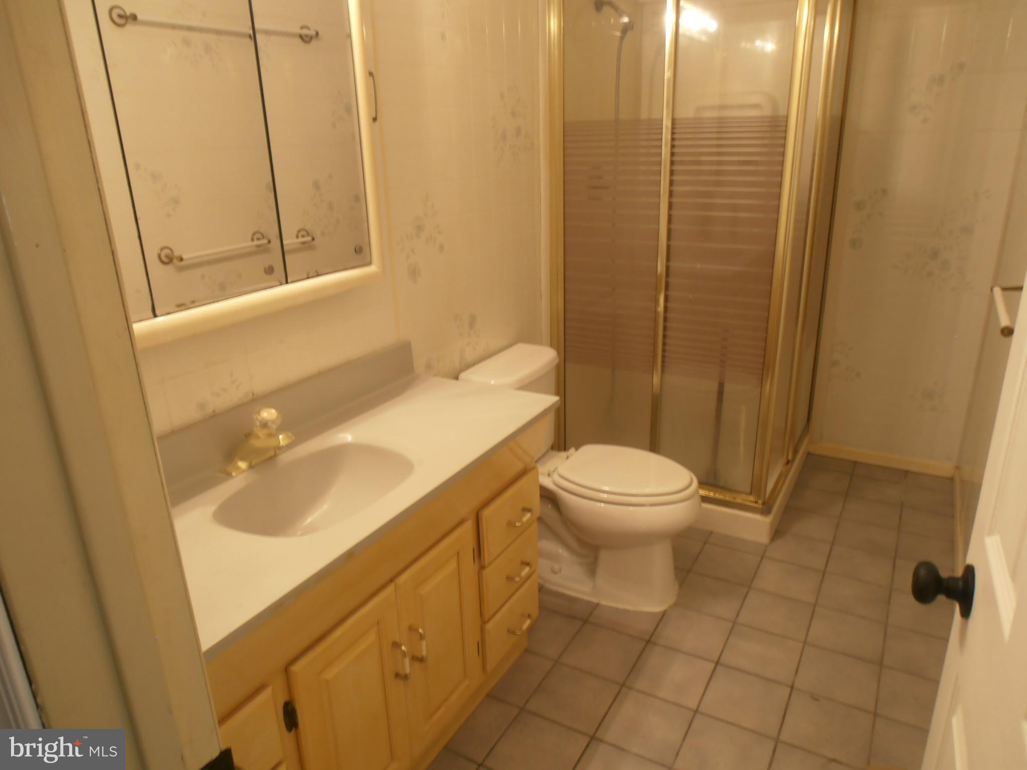 136 Hickstown Road Sicklerville, NJ 08081 - Photo 28 of 34 hall bath has walkin shower