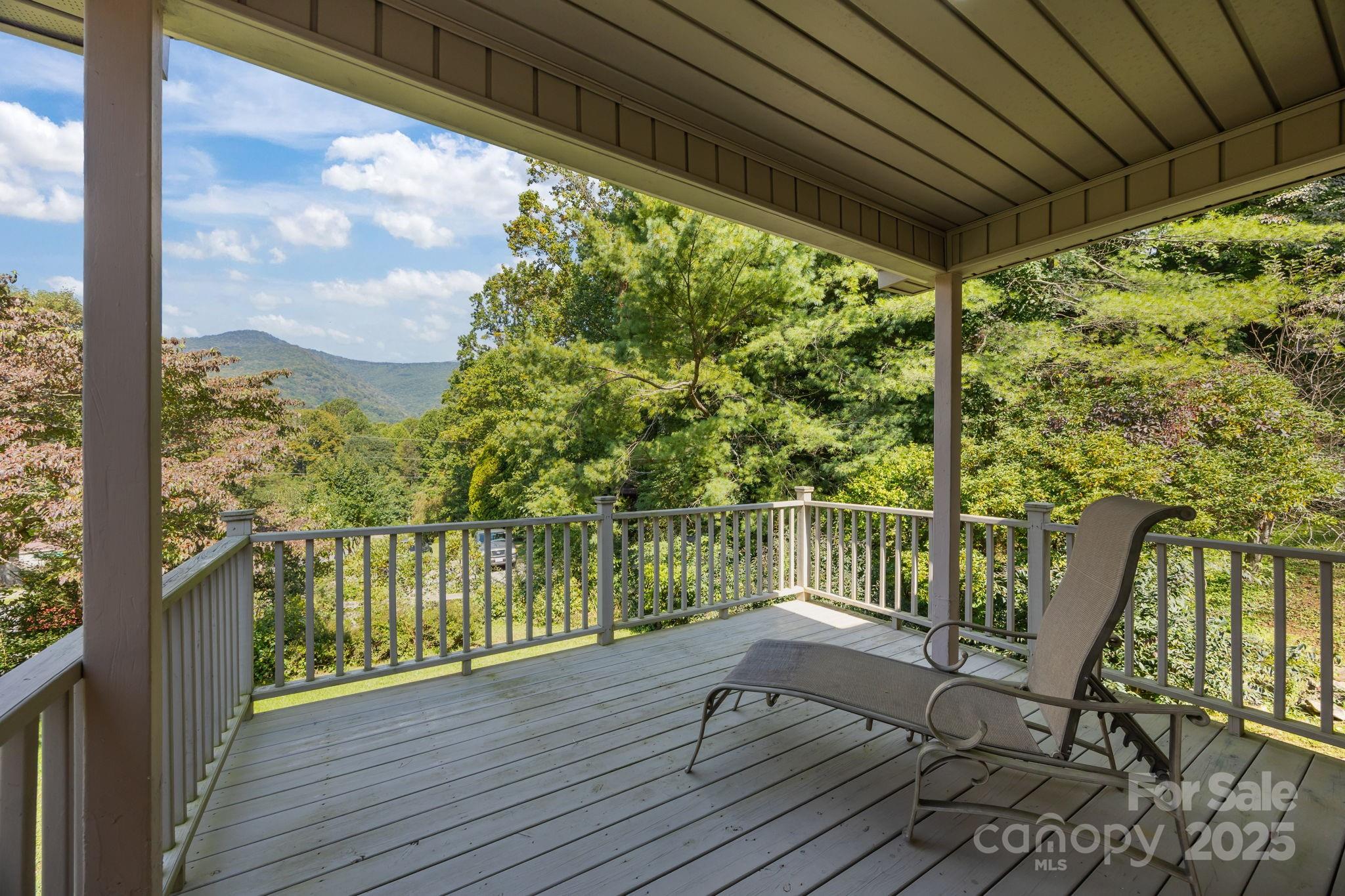 255 Red Bank Road Waynesville, NC 28786 - Photo 2 of 48