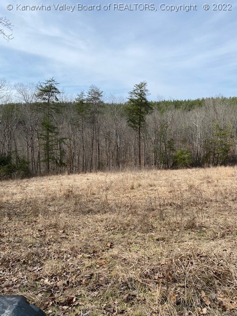 13379 Tribble Road Leon, WV 25123 - Photo 8 of 15 Gallery Image 8
