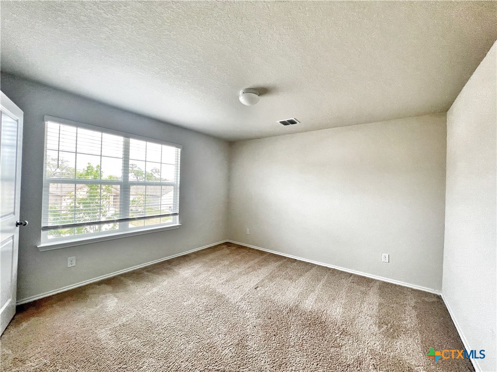 29529 Spring Copper Bulverde, TX 78163 - Photo 22 of 29