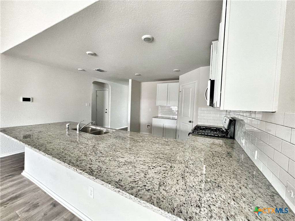 29529 Spring Copper Bulverde, TX 78163 - Photo 27 of 29