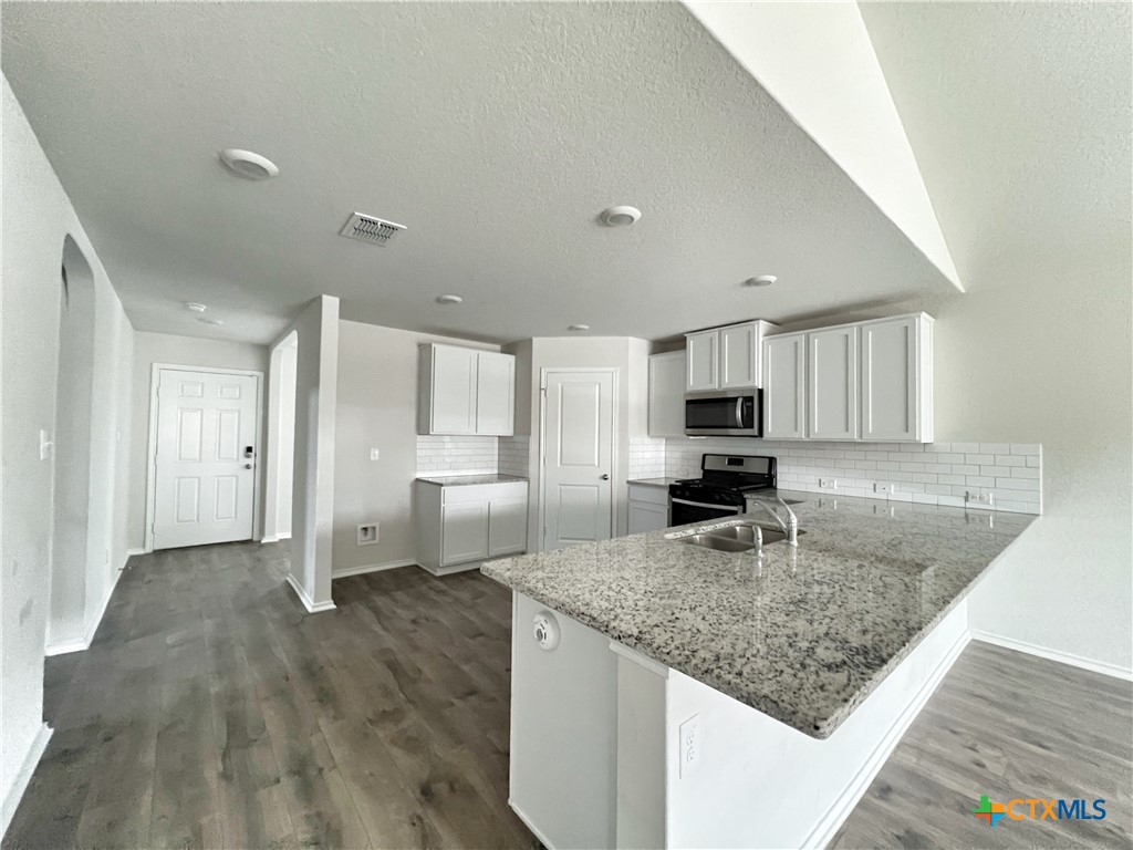 29529 Spring Copper Bulverde, TX 78163 - Photo 4 of 29