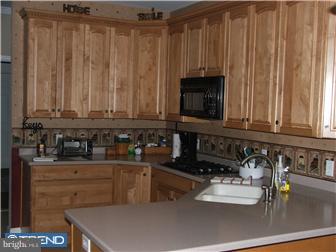 162 Sharon Hill Road Dover, DE 19904 - Photo 4 of 12 Kitchen