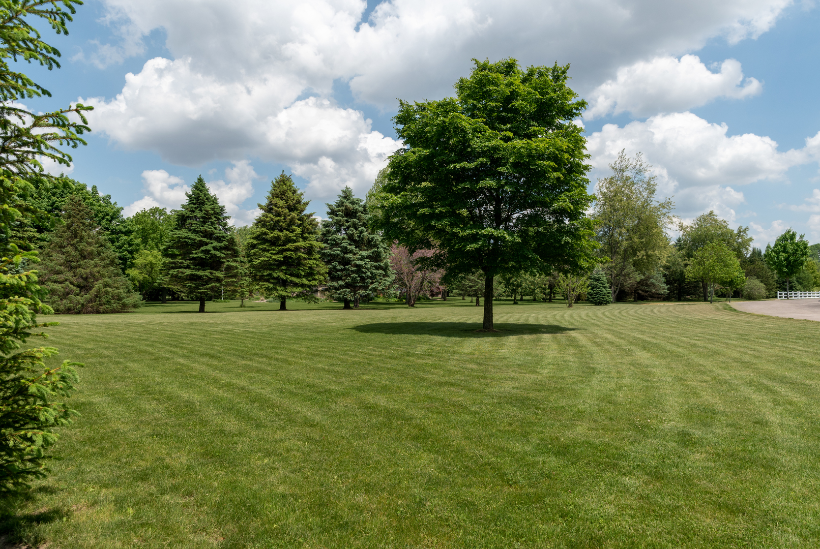 1500 Cherry Valley Road Bull Valley, IL 60050 - Photo 5 of 30 a view of an outdoor space and a yard