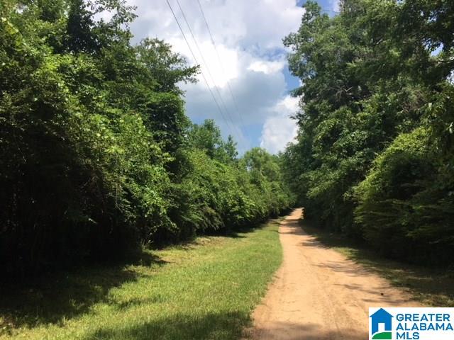 Sipsey Valley Road, Unit 15 Buhl, AL 35446 - Photo 6 of 8