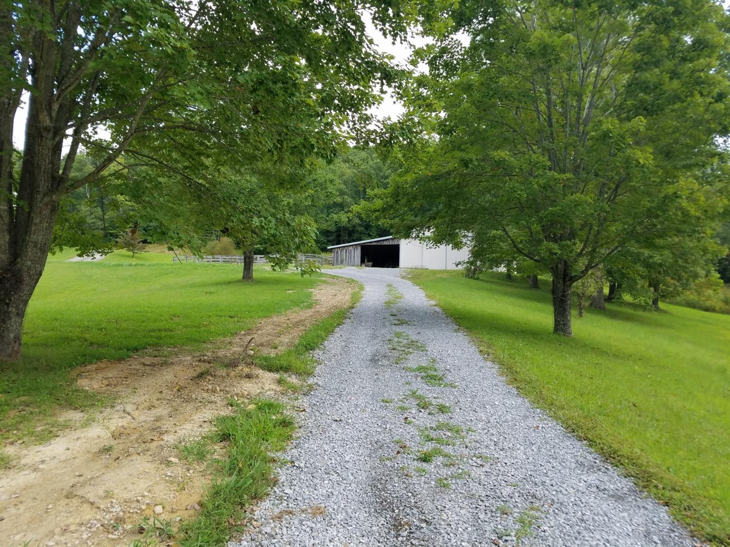 2369 Mitchellsburg Knob Road Parksville, KY 40464 - Photo 14 of 88 Photo 14