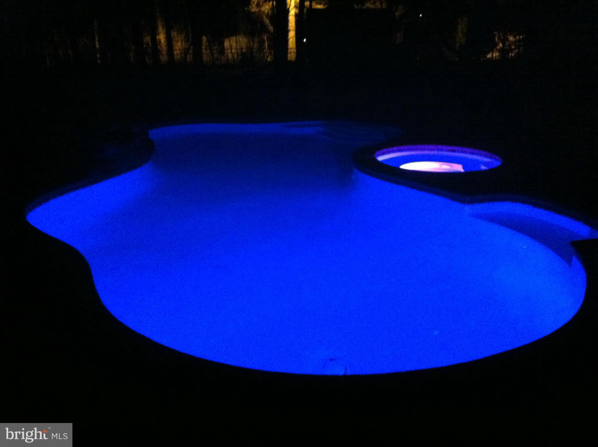 415 Magothy Bridge Road Pasadena, MD 21122 - Photo 26 of 30 LED LIGHTS IN THE POOL