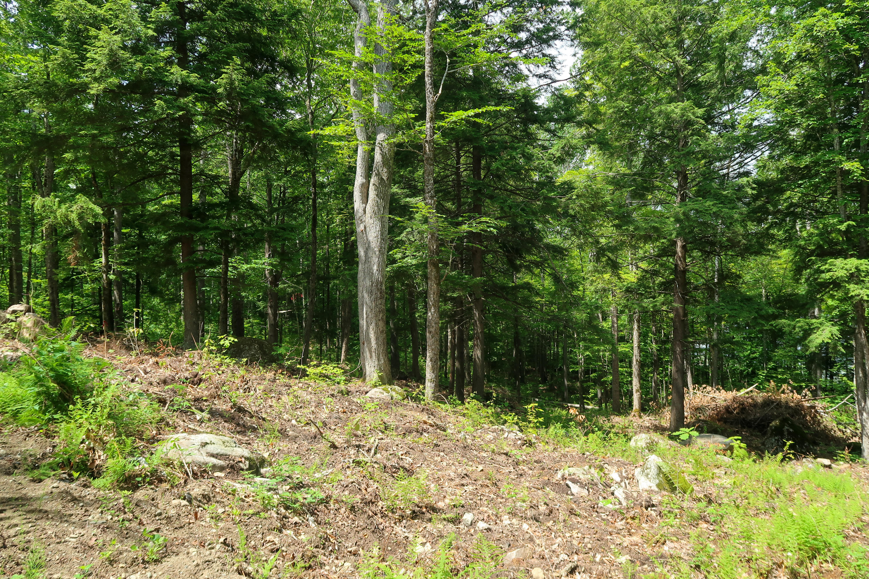 Tbd Powderhorn Road Jefferson, ME 04348 - Photo 4 of 16 IMG_6978