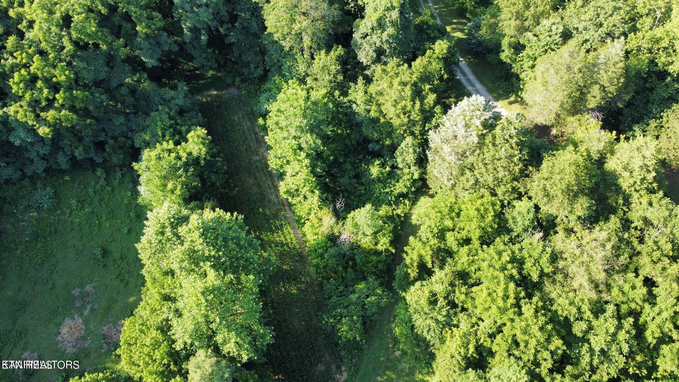 619 Ridgeline Road Washburn, TN 37888 - Photo 4 of 24 RG23