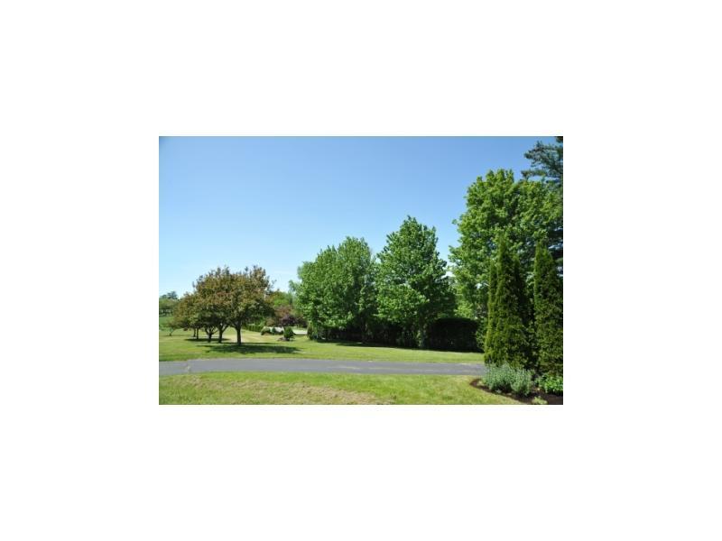 Yard/Garden.