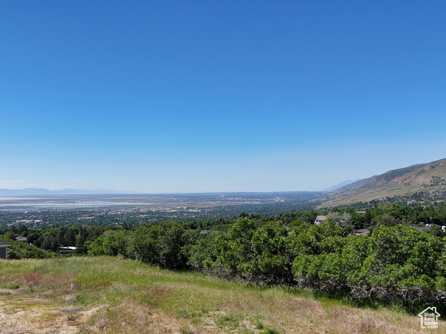 1785 1450 East Bountiful, UT 84010 - Photo 4 of 8