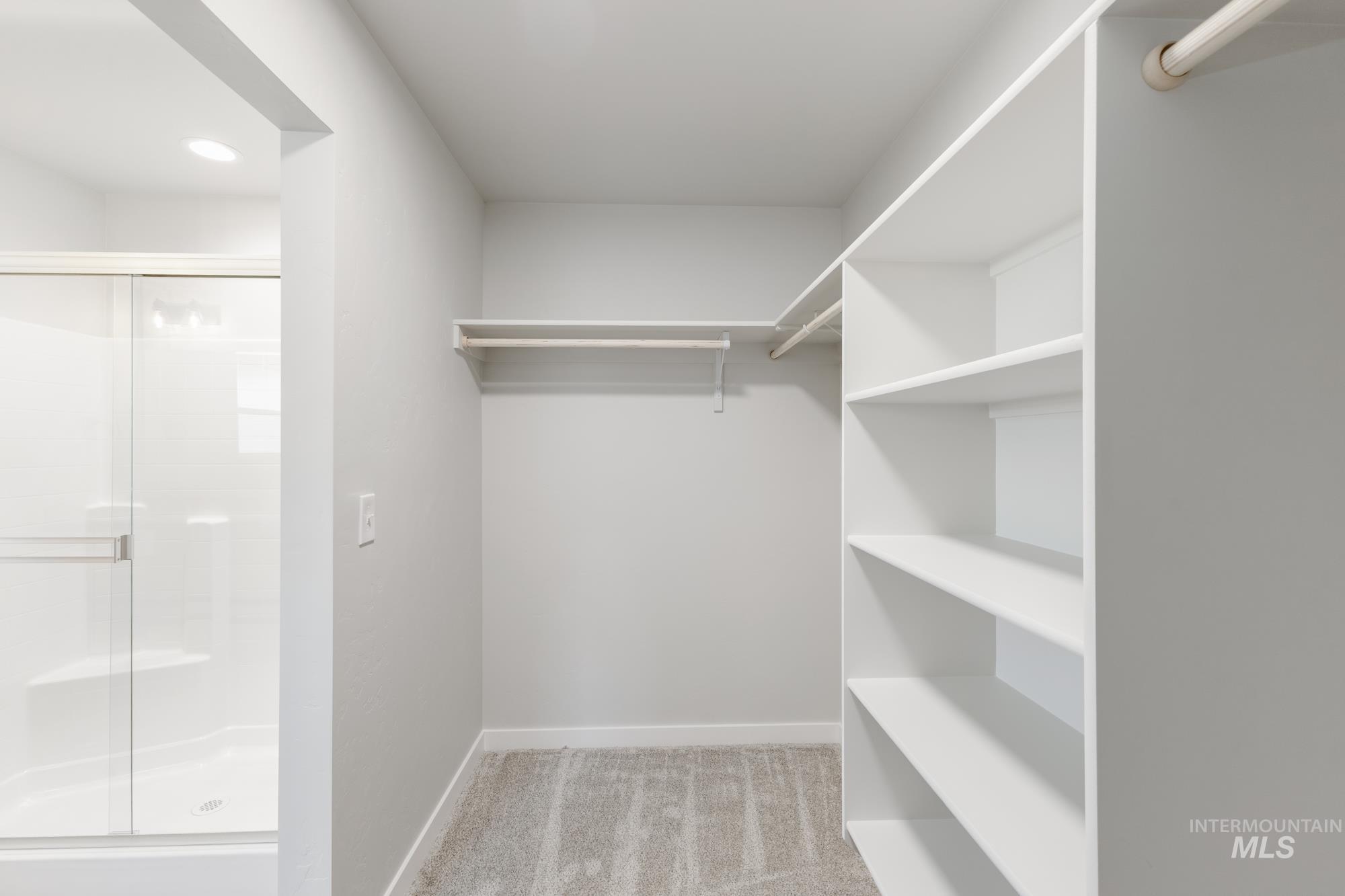 903 North Mirror Creek Way Meridian, ID 83642 - Photo 23 of 24 Spacious closet featuring light carpet