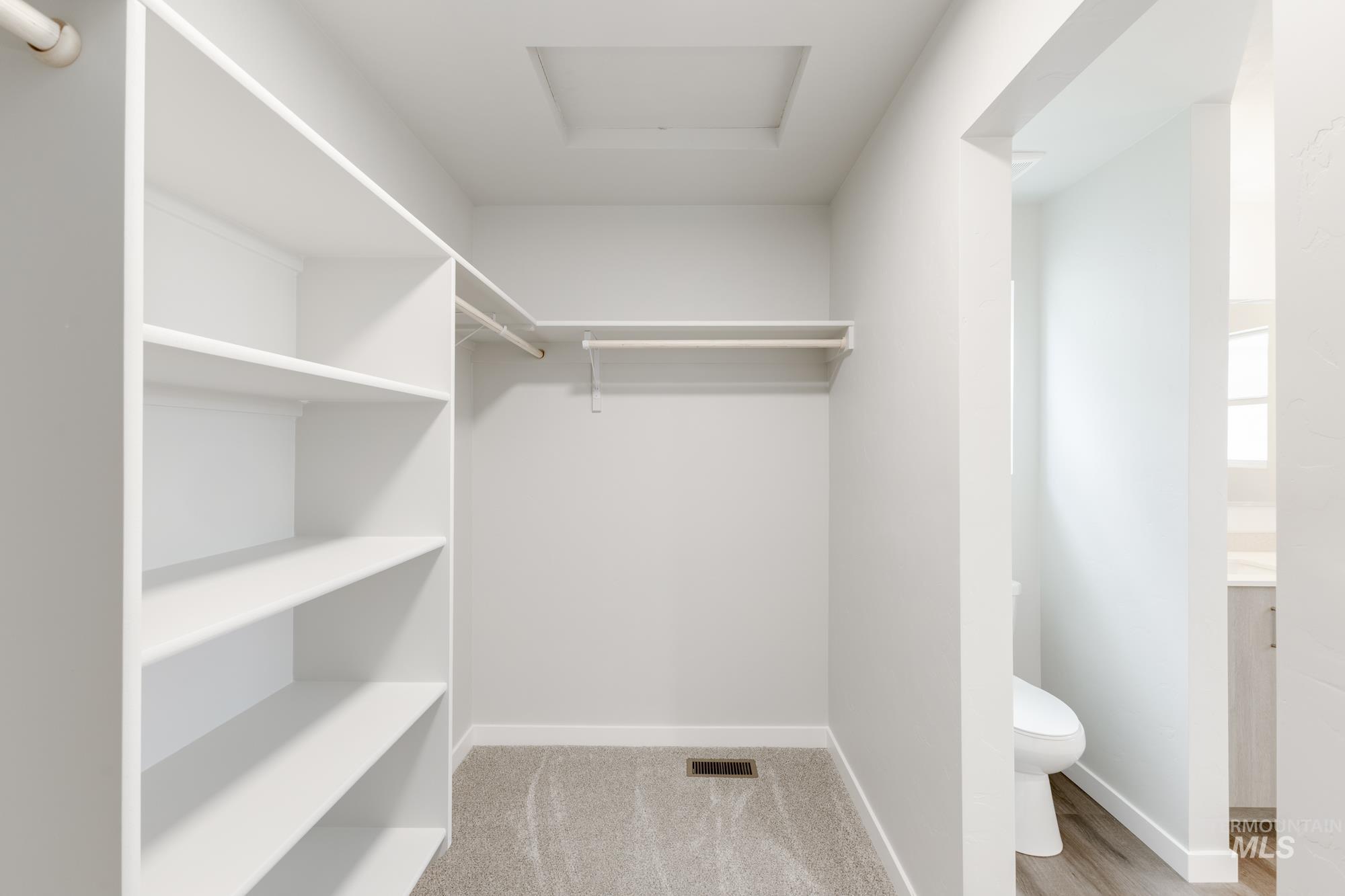 903 North Mirror Creek Way Meridian, ID 83642 - Photo 24 of 24 Walk in closet featuring attic access and light carpet