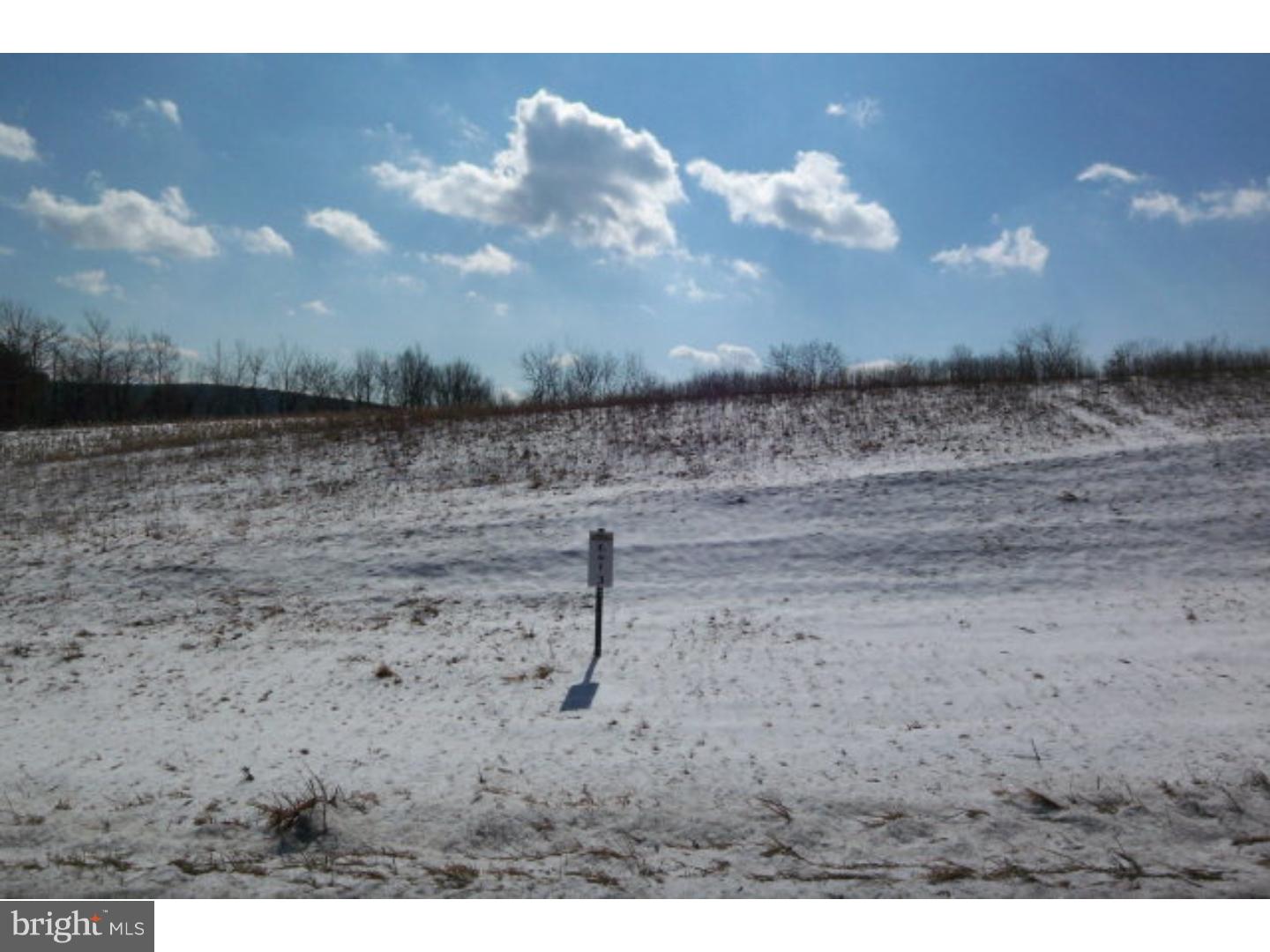 Lot #3 St Peters Road Andreas, PA 18211 - Photo 1 of 1 Gallery Image 1