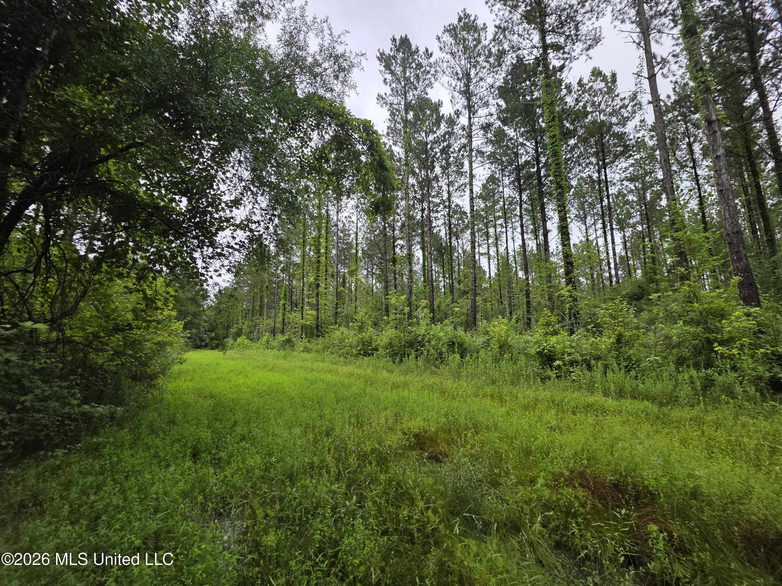 244 Foster Road Sontag, MS 39665 - Photo 38 of 105 35465