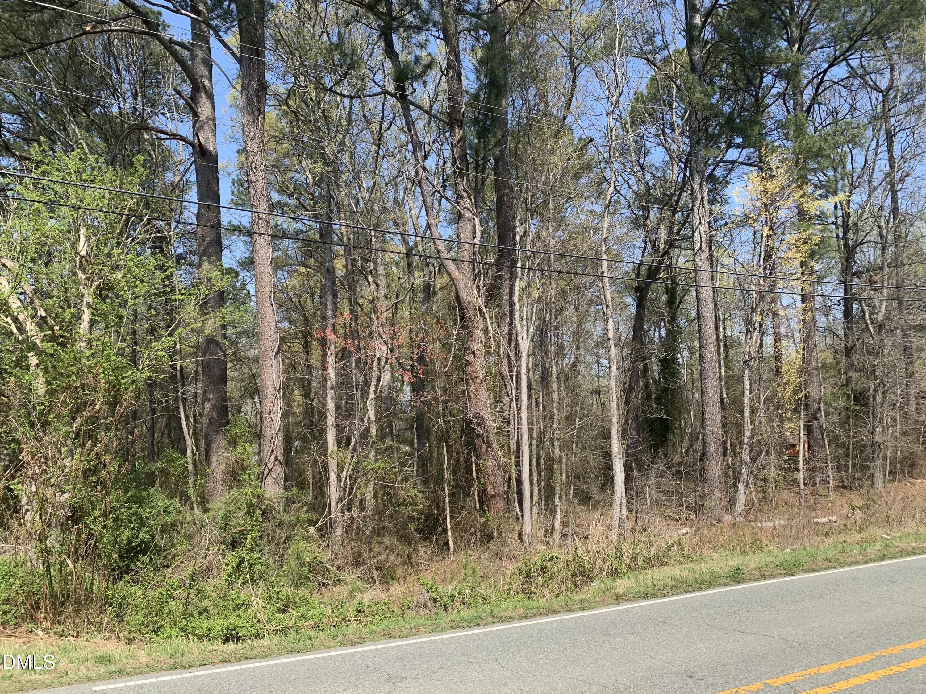 102 Airport Road Siler City, NC 27344 - Photo 2 of 10 a view of a garden