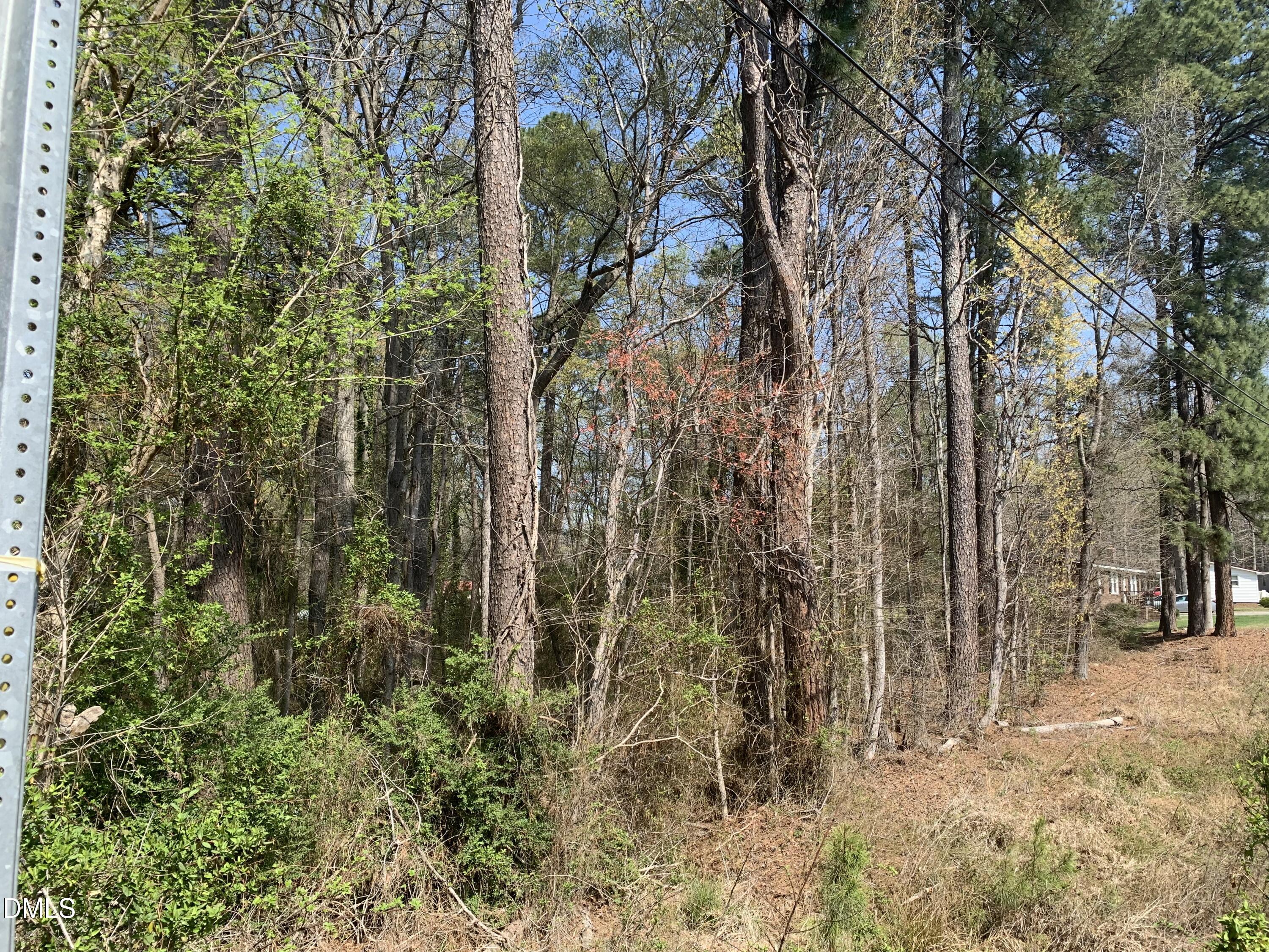 102 Airport Road Siler City, NC 27344 - Photo 3 of 10 a view of a yard with trees