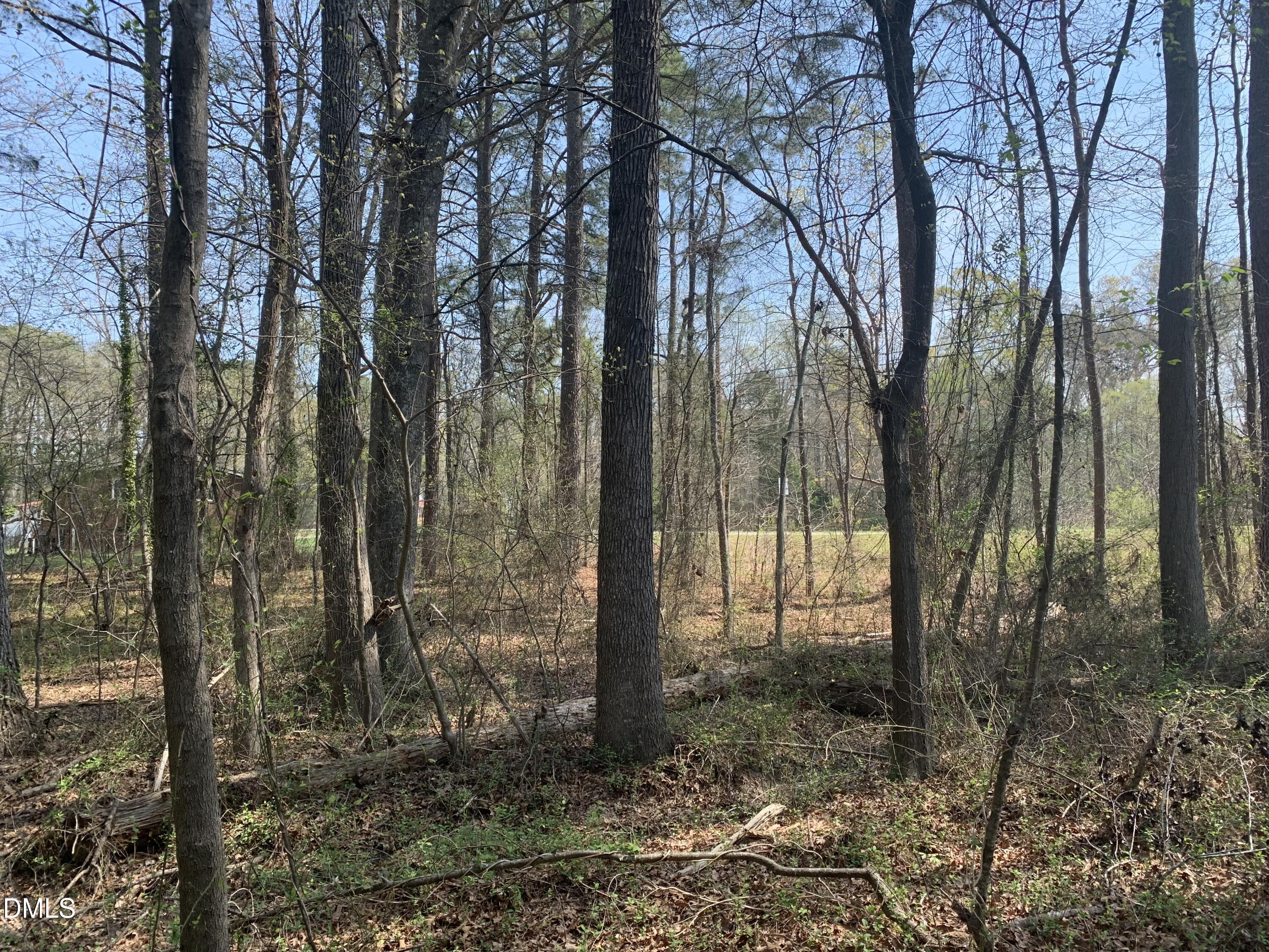 102 Airport Road Siler City, NC 27344 - Photo 4 of 10 a view of a forest