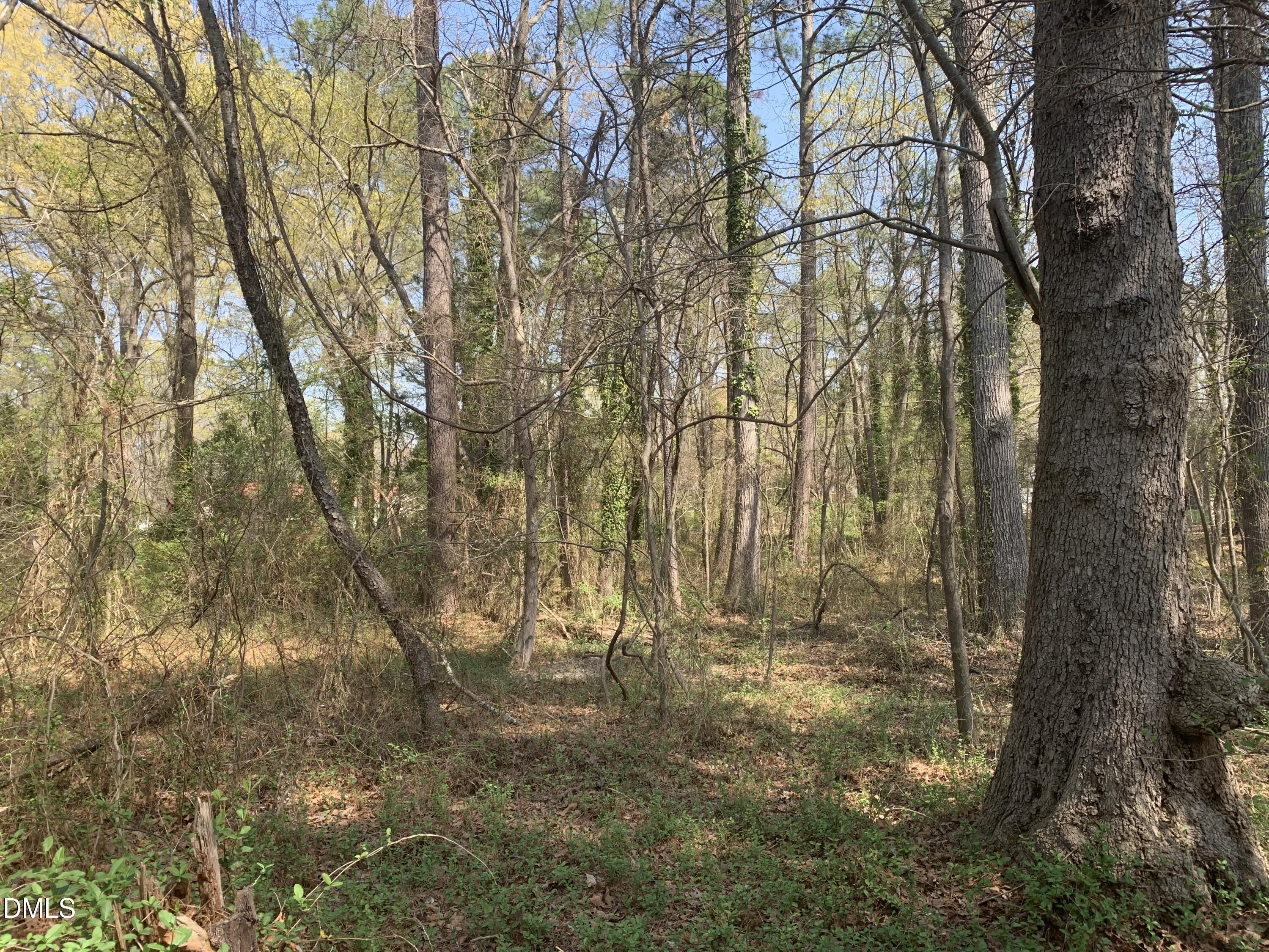 102 Airport Road Siler City, NC 27344 - Photo 5 of 10 a backyard of a house with lots of green space