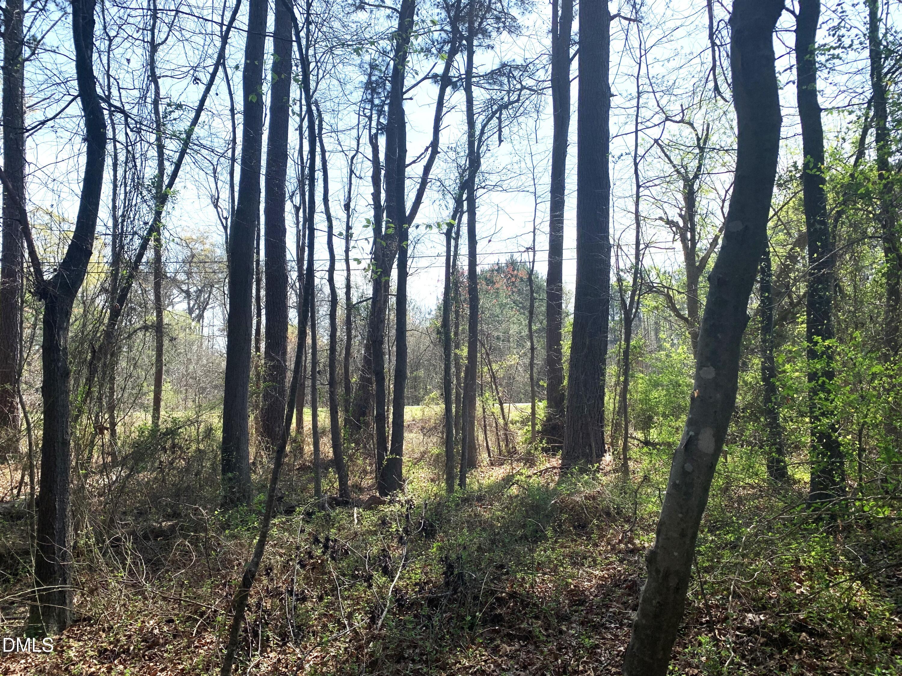 102 Airport Road Siler City, NC 27344 - Photo 6 of 10 a view of outdoor space and garden