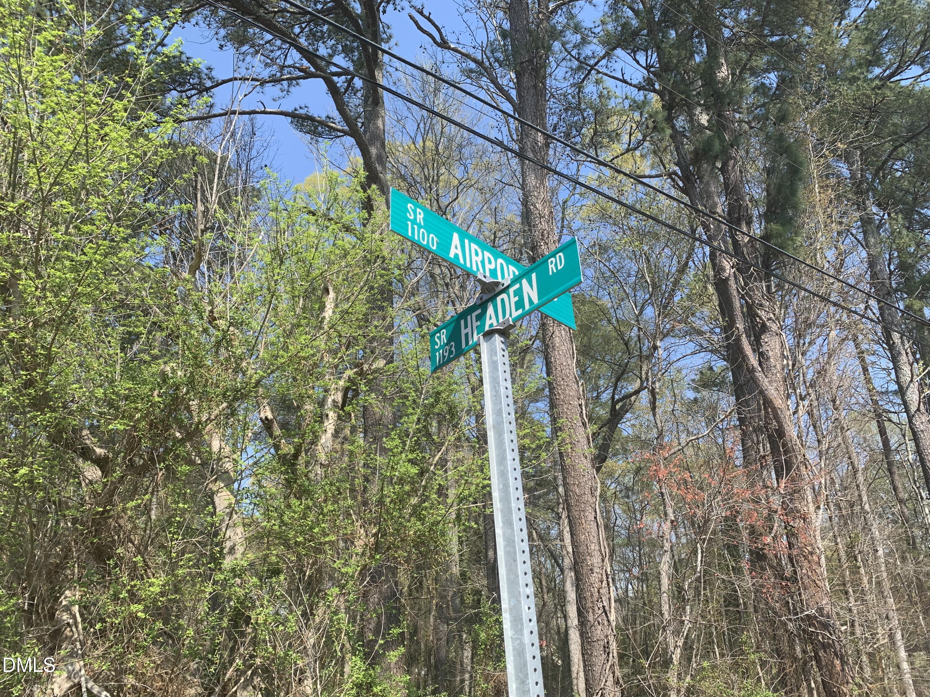 102 Airport Road Siler City, NC 27344 - Photo 8 of 10 a close up of a plant in a garden