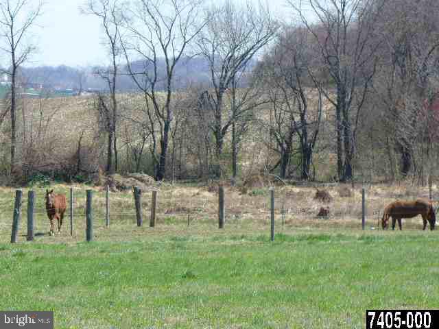 280 Roths Church Road Spring Grove, PA 17362 - Photo 5 of 7