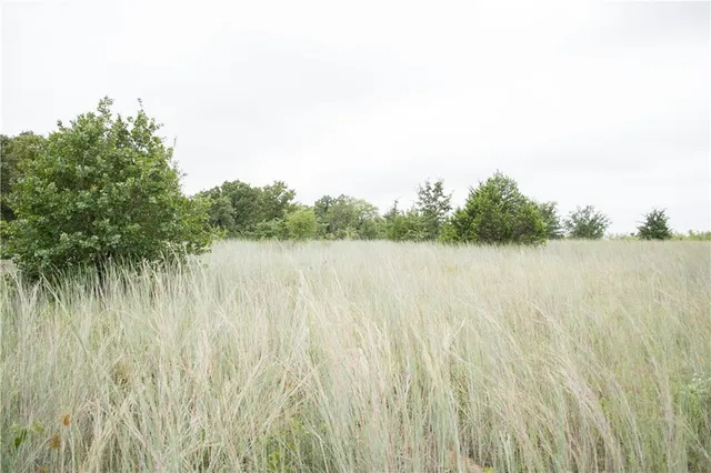 $99,000 | H10 Stagecoach Trail, Gordon, TX 76453