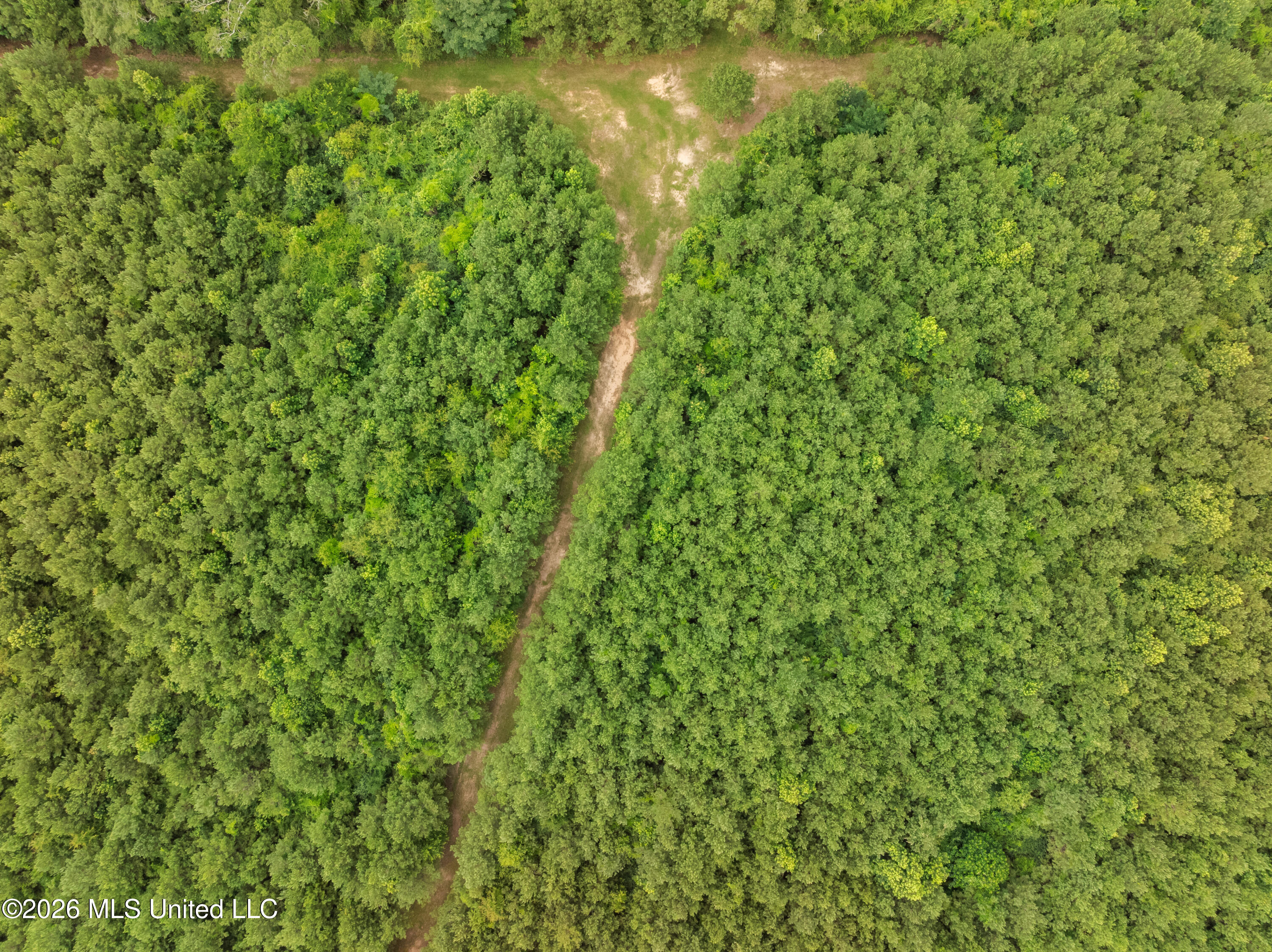 232 Knoxo Columbia Road Tylertown, MS 39667 - Photo 110 of 120 232_Knoxo_Columbia_Rd-109