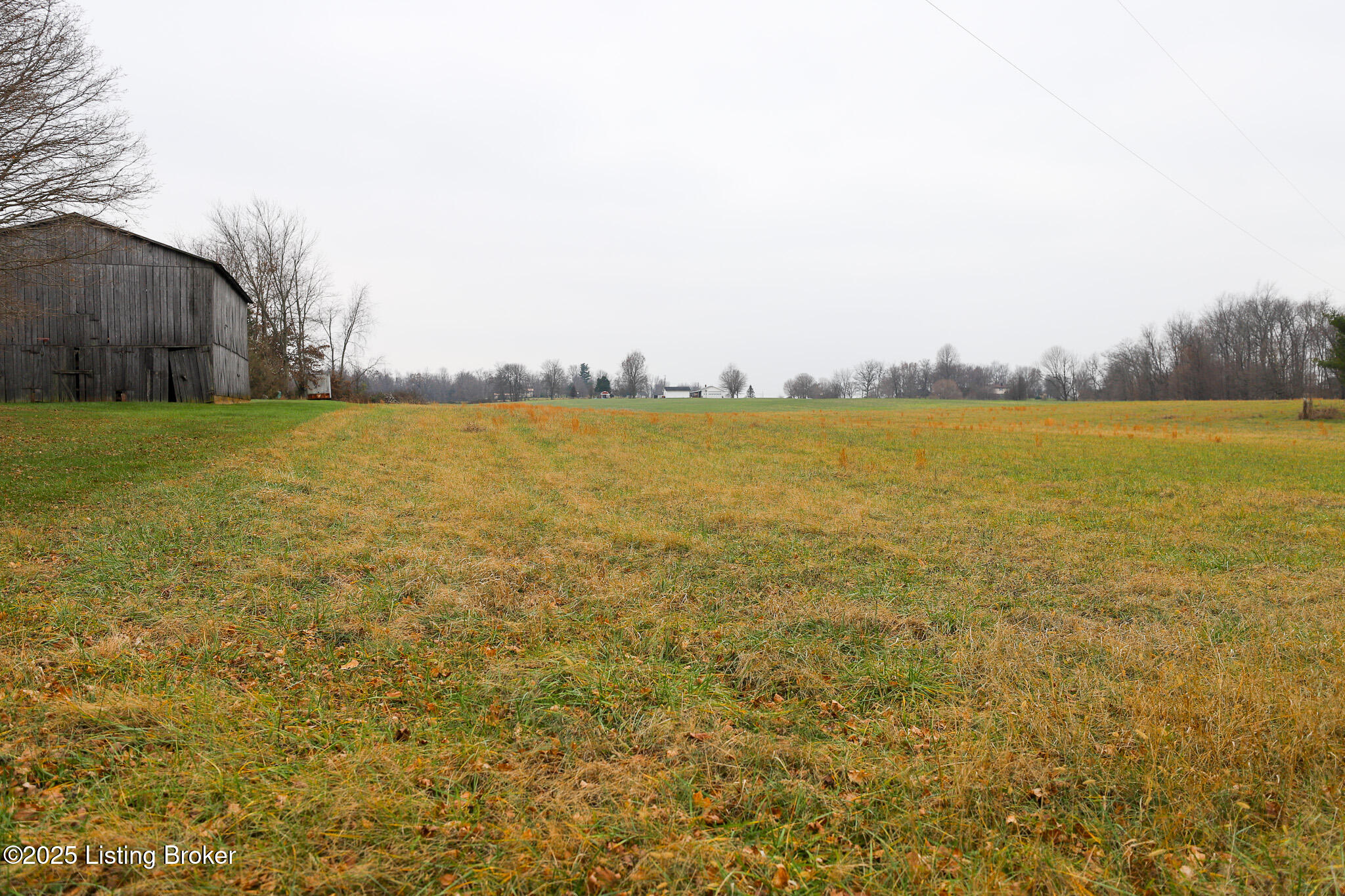 Lot 1 Mudsplash Road Elizabethtown, KY 42701 - Photo 6 of 9 IMG_9010