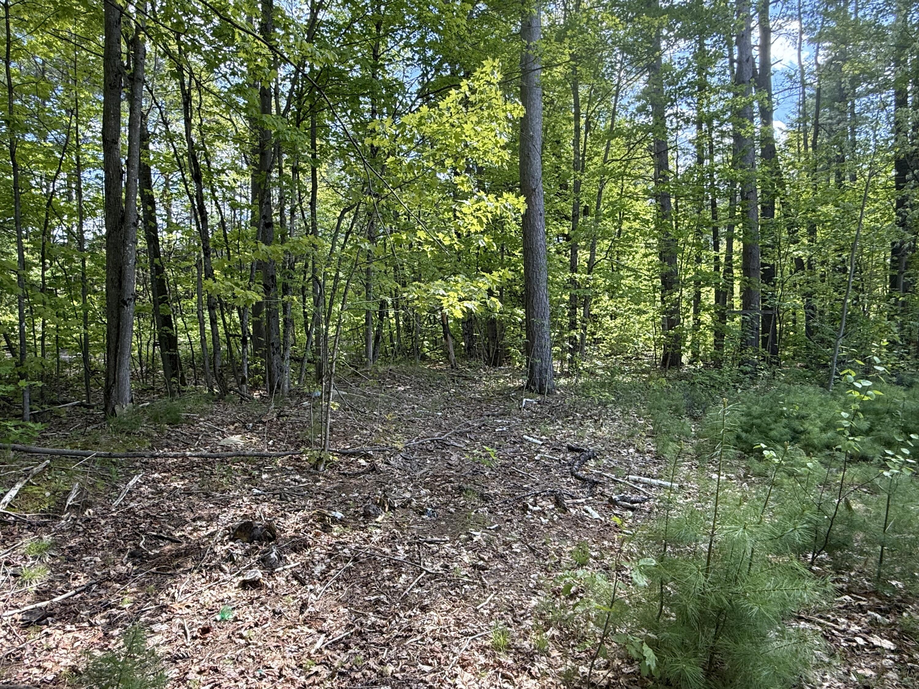 190 Barker Road Bethel, ME 04217 - Photo 11 of 11 IMG_3907