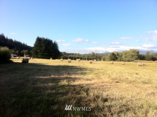 5363 Doran Road Acme, WA 98220 - Photo 14 of 15 Gallery Image 14