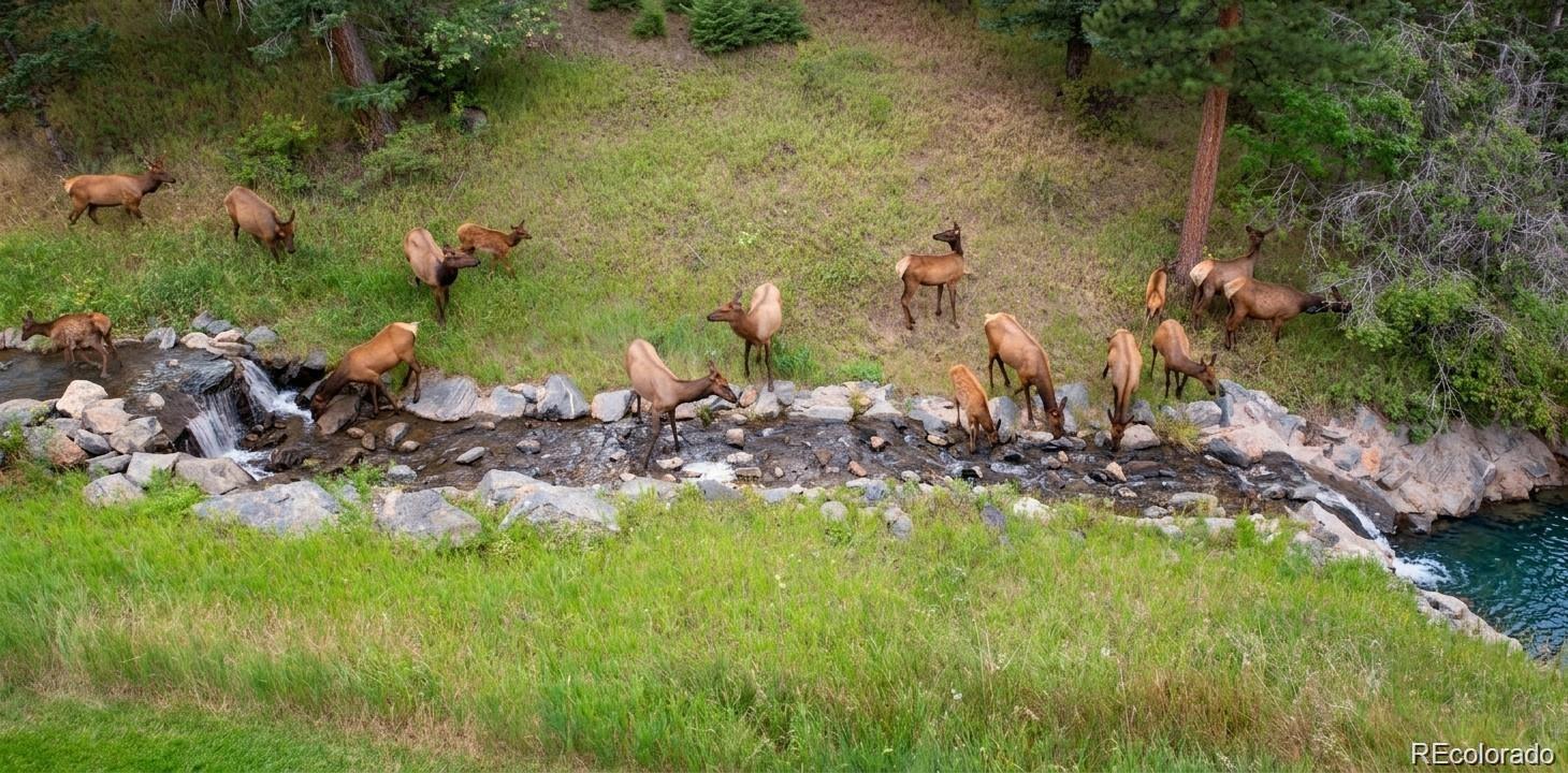 667 Trailside Road Golden, CO 80401 - Photo 11 of 50