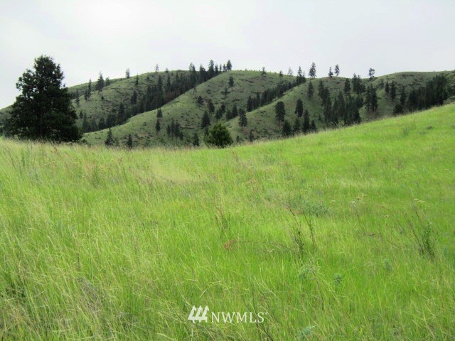 0 Hawks Meadow Road, Unit 20 Chelan, WA 98816 - Photo 2 of 12 Gallery Image 2
