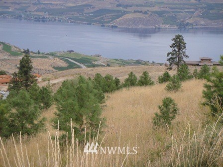 0 Hawks Meadow Road, Unit 20 Chelan, WA 98816 - Photo 3 of 12 Gallery Image 3