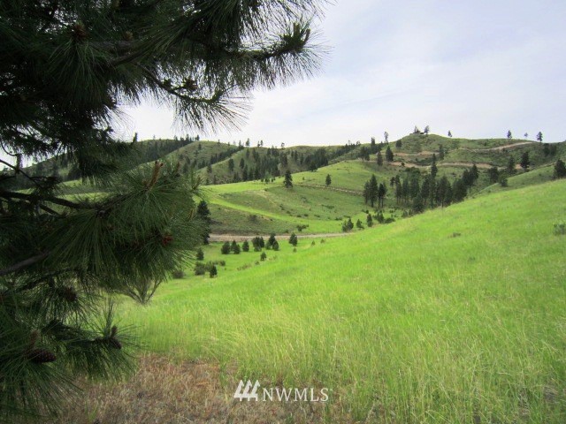 0 Hawks Meadow Road, Unit 20 Chelan, WA 98816 - Photo 4 of 12 Gallery Image 4