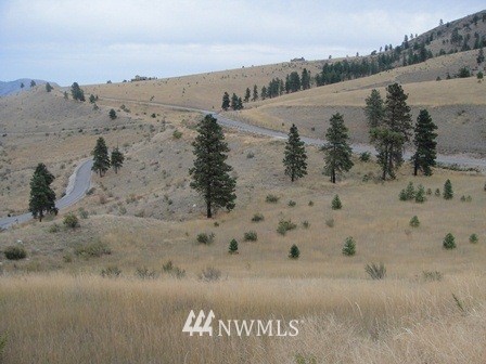 0 Hawks Meadow Road, Unit 20 Chelan, WA 98816 - Photo 6 of 12 Gallery Image 6