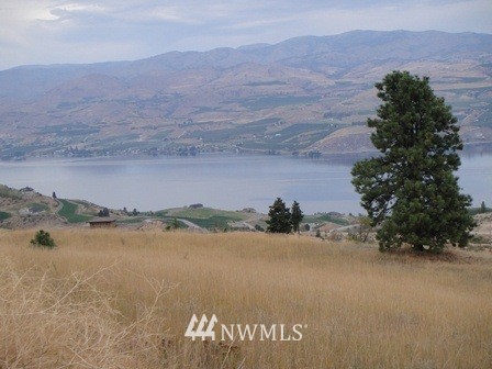 0 Hawks Meadow Road, Unit 20 Chelan, WA 98816 - Photo 8 of 12 Gallery Image 8