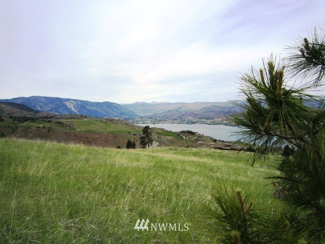0 Hawks Meadow Road, Unit 20 Chelan, WA 98816 - Photo 9 of 12 Gallery Image 9