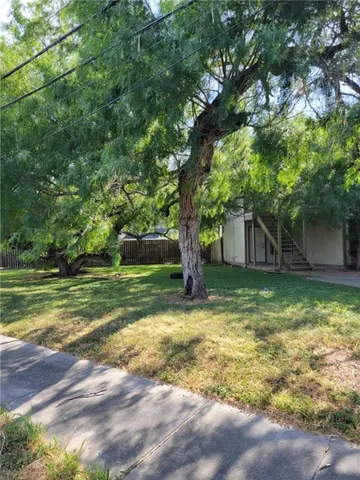 a view of a tree in the middle of a yard