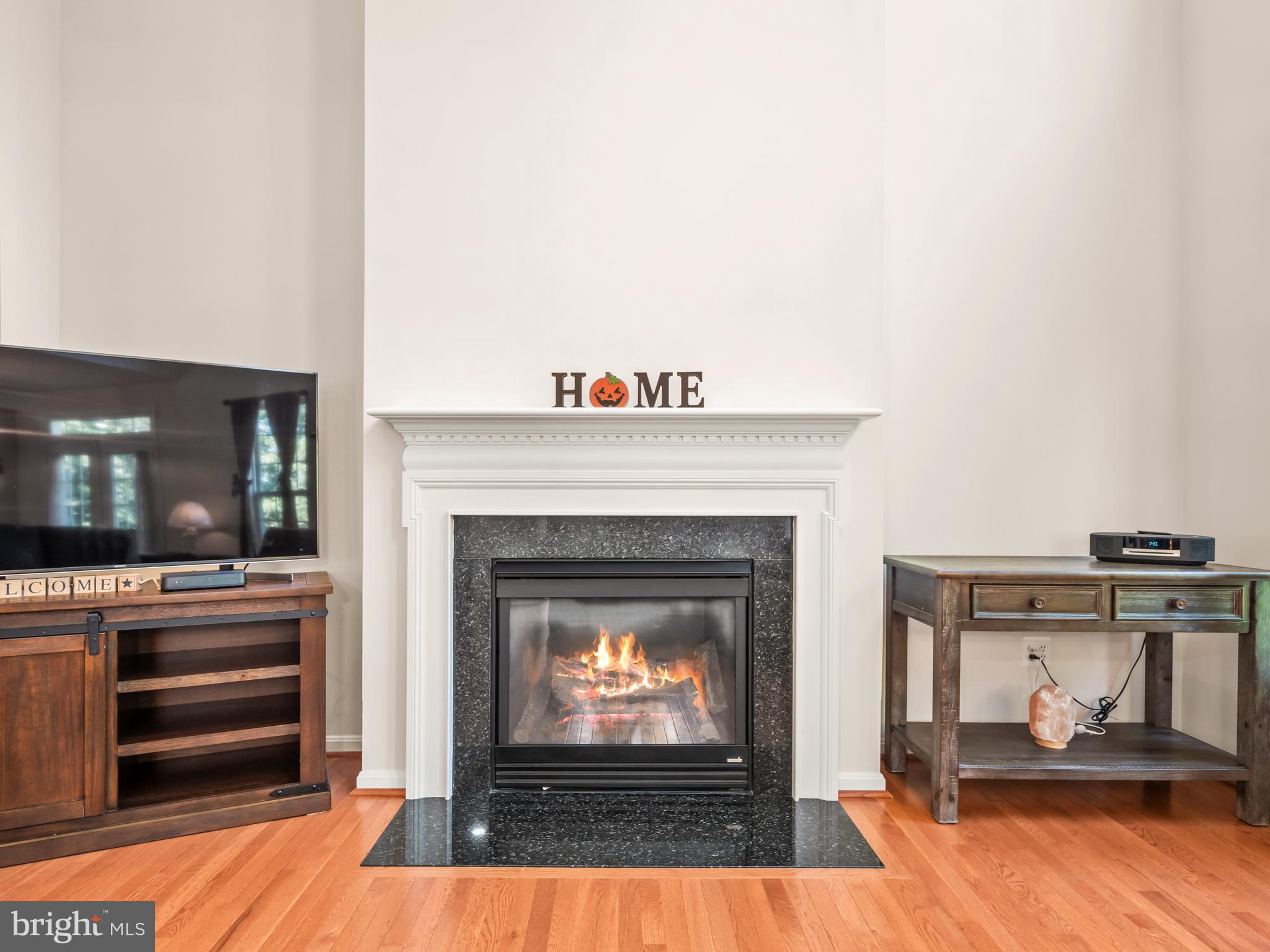 7236 Lyndam Hill Circle Lorton, VA 22079 - Photo 15 of 59 1 of 2 fireplaces