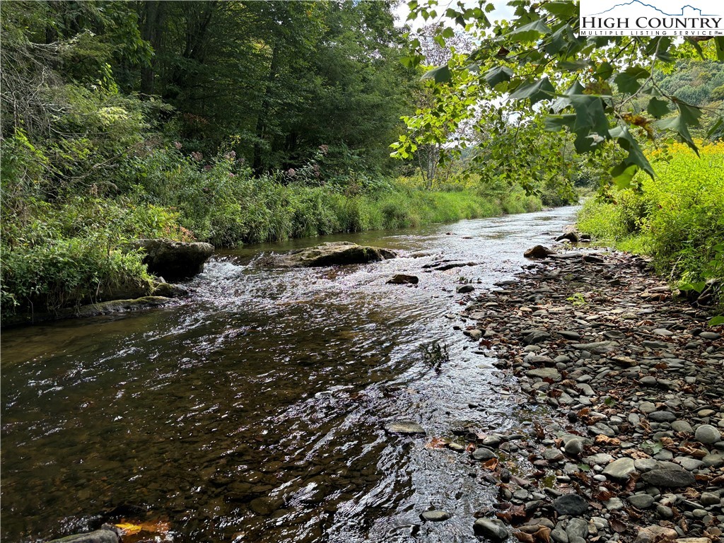 88 W Highway Creston, NC 28615 - Photo 2 of 7