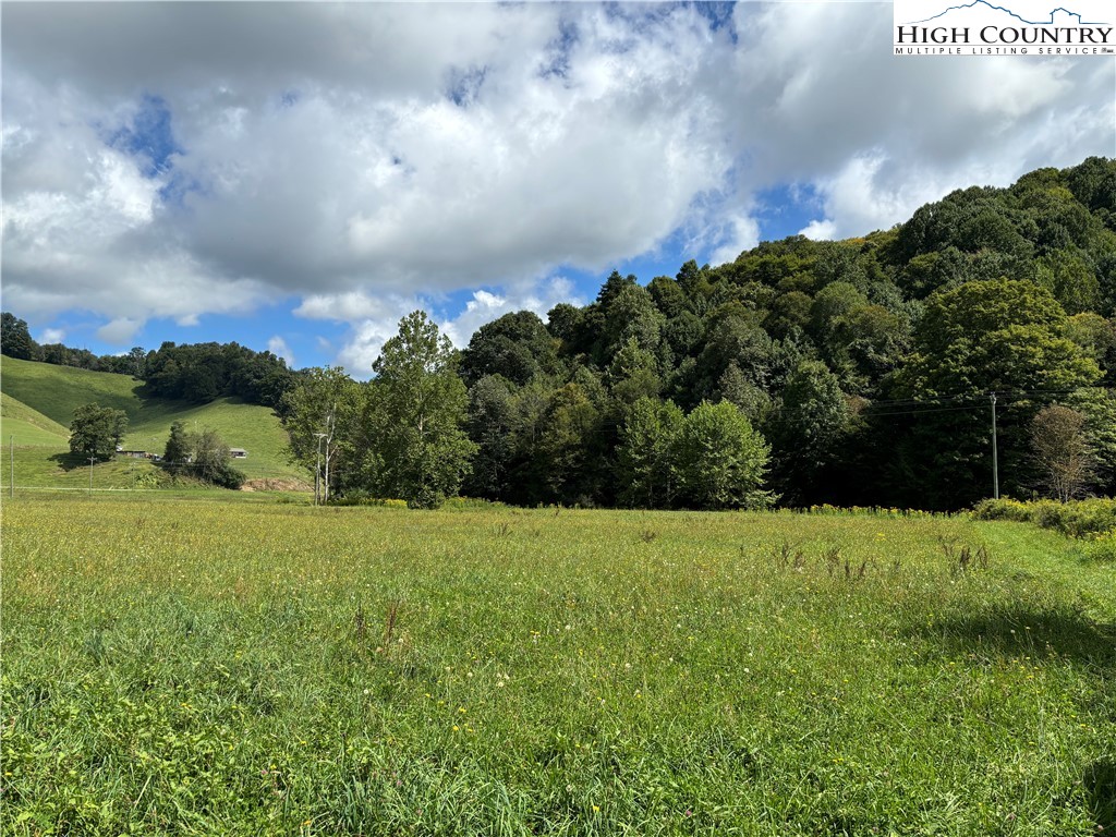 88 W Highway Creston, NC 28615 - Photo 3 of 7