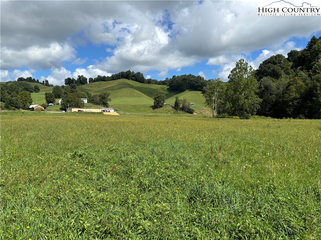 88 W Highway Creston, NC 28615 - Photo 4 of 7