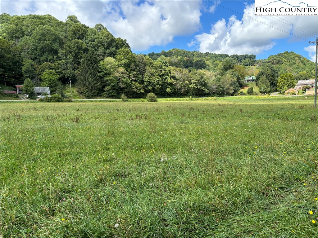 88 W Highway Creston, NC 28615 - Photo 5 of 7